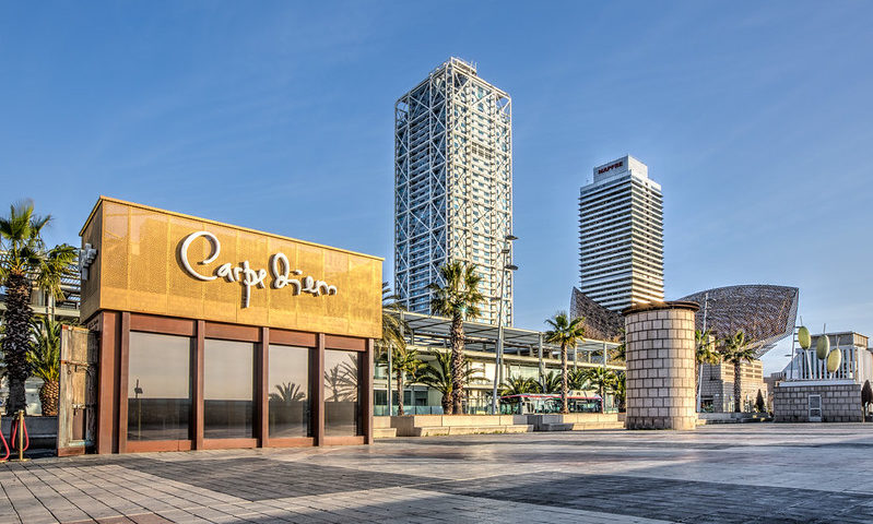 How to choose University Career