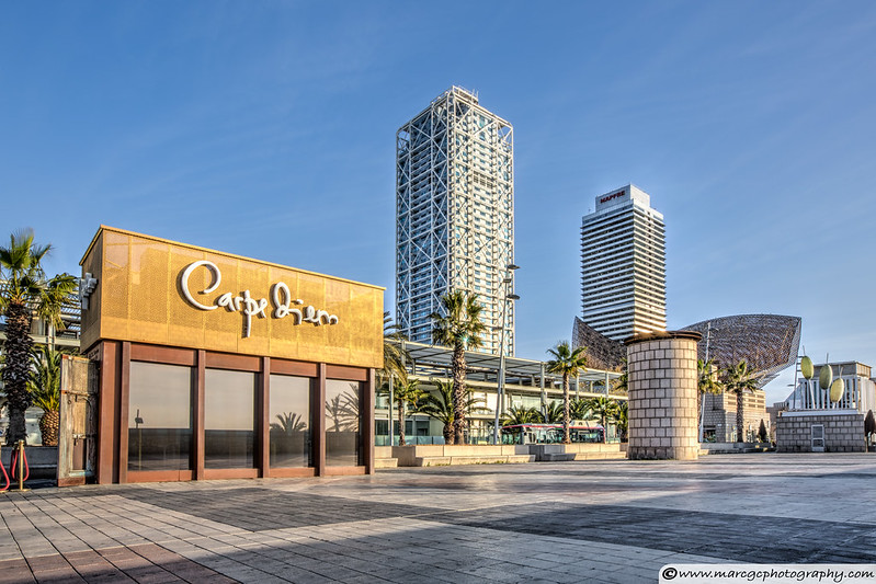 How to choose University Career